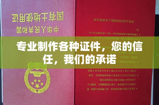 东坡专业制作各种证件，您的信任，我们的承诺